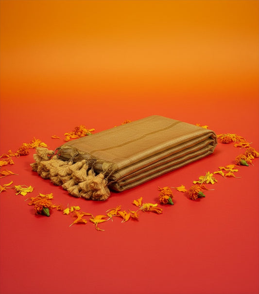 Full Gold Tissue Saree